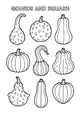 Free Gourds and Squash Coloring Page - Harvest Pumpkin Parade (Printable PDF)