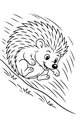 Free Hedgehog Coloring Page - Happy Hedgehog Rolling Down a Hill (Printable PDF)