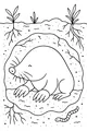 Free Mole Coloring Page - Cozy Underground Tunnel Scene (Printable PDF)