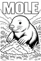 Free Mole Coloring Page - Cute Cartoon Mole in Flower Meadow (Printable PDF)