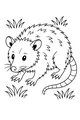 Free Opossum Coloring Page - Whiskered Friend in the Meadow (Printable PDF)