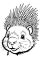 Free Porcupine Coloring Page - Smiling Cartoon Face With Spiky Quills (Printable PDF)