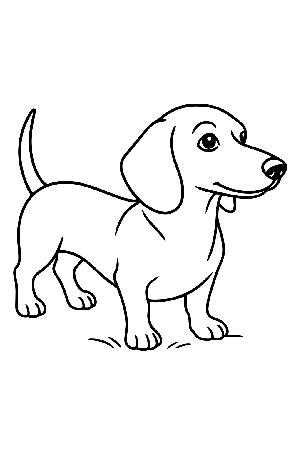 Dachshund puppy with floppy ears and wagging tail standing on grass, looking forward with a cheerful expression.