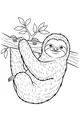 Free Sloth Coloring Page - Smiling Sloth on Tree Branch (Printable PDF)