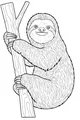 Free Sloth Coloring Page - Smiling Tree Hugger in the Rainforest (Printable PDF)
