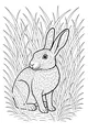 Free Hare Coloring Page - Alert Hare in Tall Grass (Printable PDF)