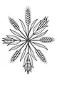 Free Harvest Mandala Coloring Page - Corn and Wheat Star Design (Printable PDF)