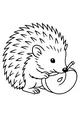 Free Hedgehog Coloring Page - Cute Hedgehog With Apple Slice (Printable PDF)