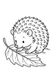 Free Hedgehog Coloring Page - Cute Hedgehog on Giant Leaf (Printable PDF)