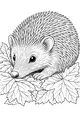 Free Hedgehog Coloring Page - Cute Hedgehog in Leafy Hideaway (Printable PDF)