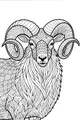 Free Ram Coloring Page - Spiraling Horns and Patterned Wool (Printable PDF)