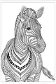 Free Zebra Coloring Page - Intricate Zentangle Portrait (Printable PDF)