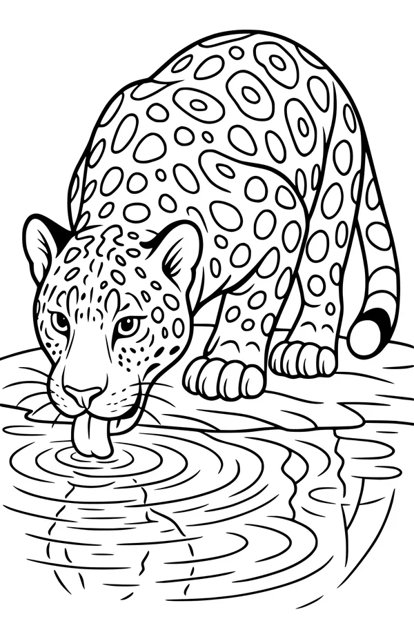 Free Jaguar Coloring Page - Thirsty Big Cat at Riverbank (Printable PDF)
