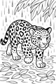 Free Jaguar Coloring Page - Young Big Cat in Rainy Jungle Puddle (Printable PDF)