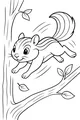Free Chipmunk Coloring Page - Leaping Forest Friend (Printable PDF)