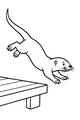 Free Otter Coloring Page - Young Otter Leaping Off Dock (Printable PDF)