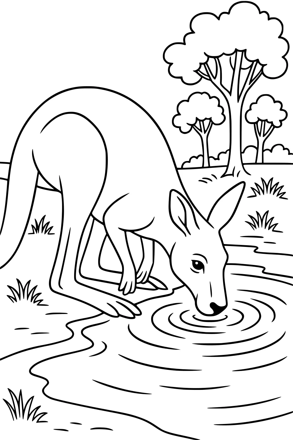 Kangaroo bending to drink from a pond, with trees and bushes in the background.