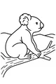 Free Koala Coloring Page - Cute Koala on Tree Branch (Printable PDF)