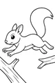 Free Squirrel Coloring Page - Leaping Between Forest Tree Branches (Printable PDF)