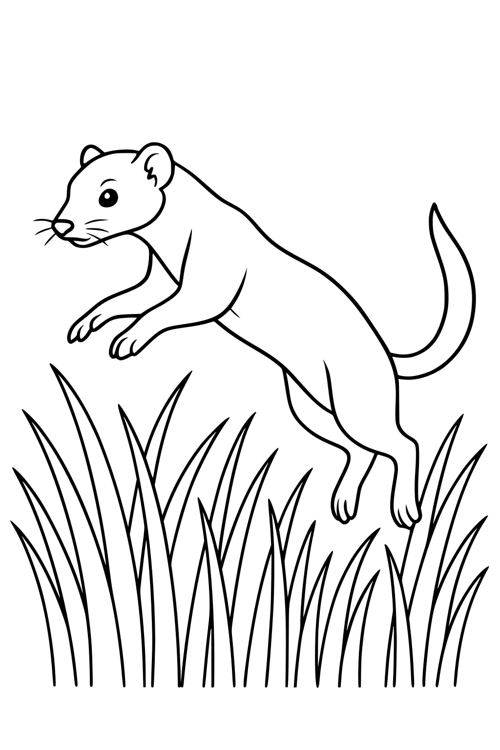 A slim weasel with a long tail jumps over tall clumps of grass, with its legs raised and face turned to the side.