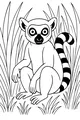 Free Lemur Coloring Page - Ring-Tailed Lemur in Tall Grass (Printable PDF)