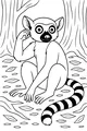 Free Lemur Coloring Page - Forest Lemur Scratching Her Ear (Printable PDF)