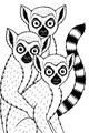 Free Lemur Coloring Page - Cute Lemur Trio in Morning Sun (Printable PDF)