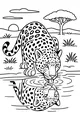 Free Leopard Coloring Page - Drinking From Sunset Stream (Printable PDF)