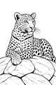 Free Leopard Coloring Page - Lounging on Sunny Rocks (Printable PDF)