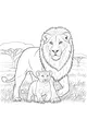 Free Lion Coloring Page - Protective Father With Playful Cub (Printable PDF)