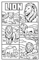 Free Lion Family Coloring Page - Majestic Lions in the Savanna (Printable PDF)