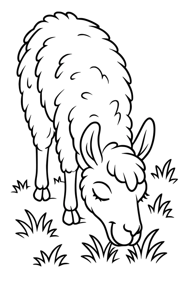 Free Llama Coloring Page - Cute Fluffy Llama Grazing (Printable PDF)
