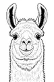 Free Llama Coloring Page - Fluffy Face With Big Ears (Printable PDF)