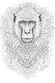 Free Baboon Coloring Page - Intricate Jungle Mandala Face (Printable PDF)