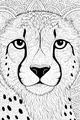 Free Cheetah Coloring Page - Big-Eyed Cheetah Face (Printable PDF)