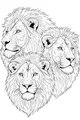 Free Lion Coloring Page - Three Male Brothers With Majestic Manes (Printable PDF)