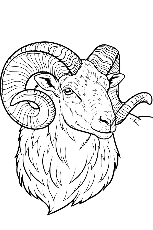 Free Ram Sheep Coloring Page - Super Curly Spiral Horns (Printable PDF)