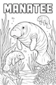 Free Manatee Coloring Page - Gentle Giants Underwater Picnic (Printable PDF)
