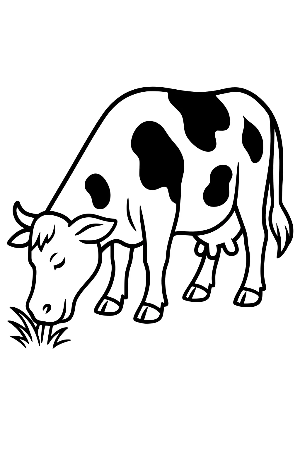 Cow with dark patches eats grass from the ground while standing, drawn in bold outlines for coloring.