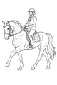 Free Horse Coloring Page - Girl Rider Ready for Show Parade (Printable PDF)