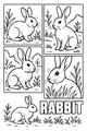 Free Rabbit Coloring Page - Five Bunny Friends in Garden Frames (Printable PDF)