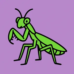 Praying Mantises