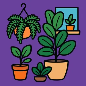 Potted Plants