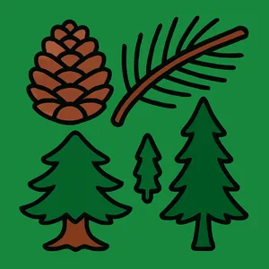 Pine Trees & Conifers
