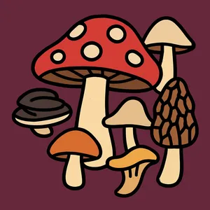Mushrooms & Fungi