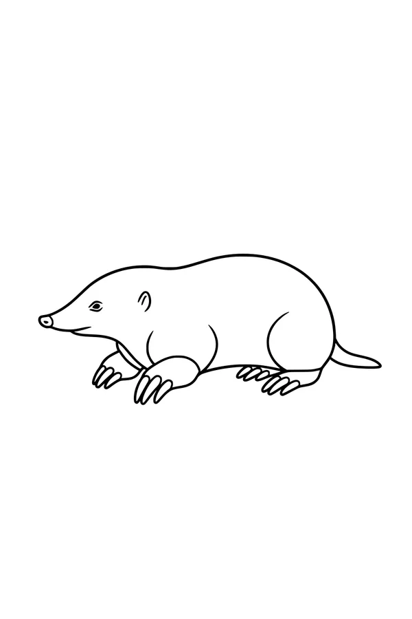 Free Mole Coloring Page - Cute Mole With Long Digging Claws (Printable PDF)
