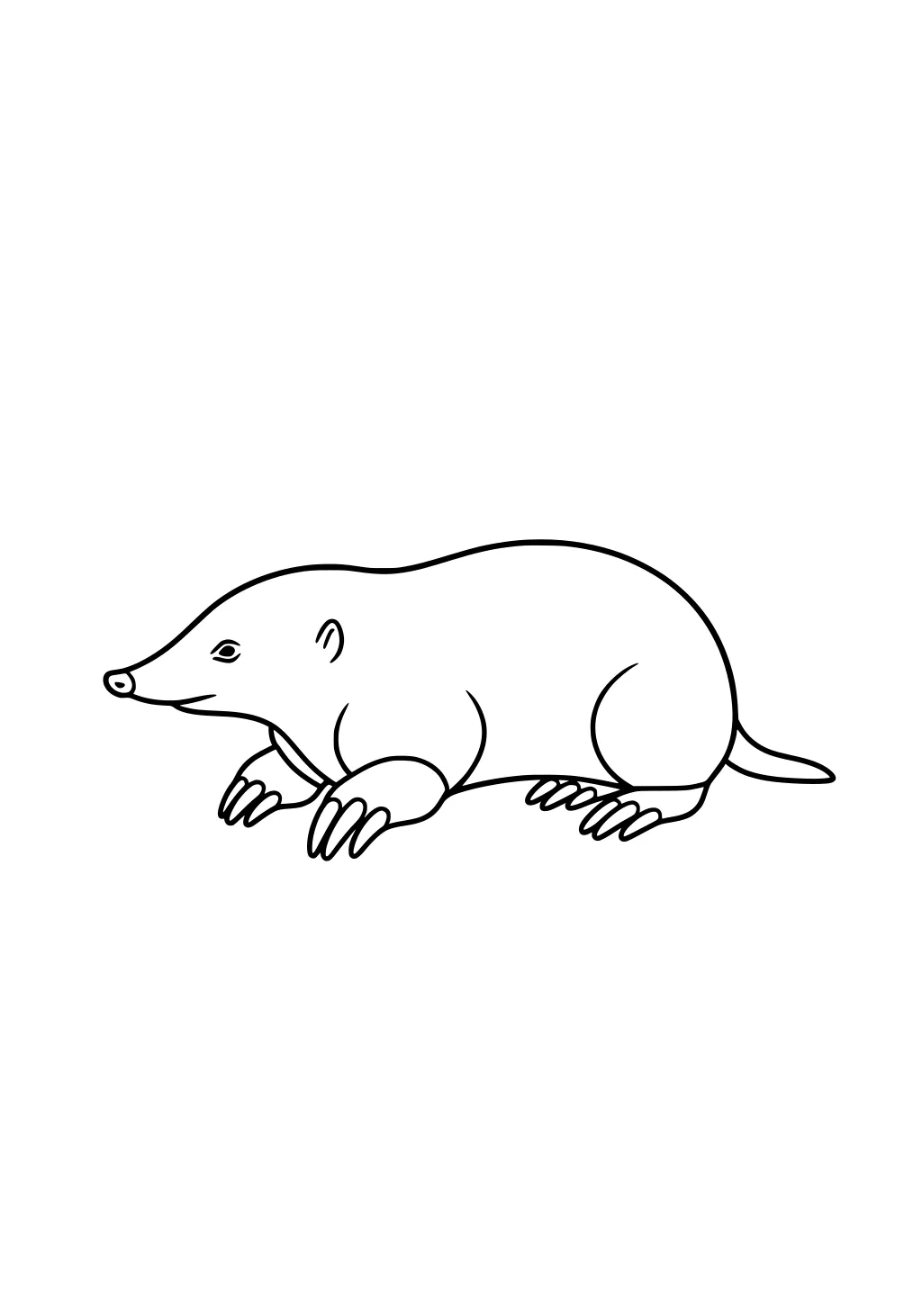 Line drawing of a mole with pointed nose, large claws, and rounded body, shown in profile, with a blank background.