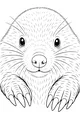 Free Mole Coloring Page - Cute Face With Big Paws (Printable PDF)
