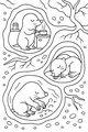 Free Mole Coloring Page - Cozy Underground Burrow Life (Printable PDF)
