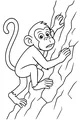 Free Monkey Coloring Page - Little Monkey Climbing a Tree (Printable PDF)